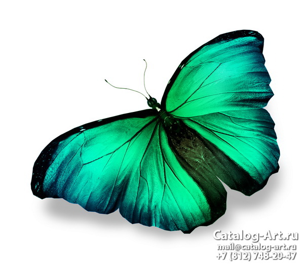  Butterflies 88